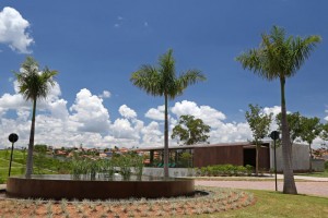 O projeto faz uso de plantas nativas como Ipê-roxo, Pau-brasil, Peroba-rosa, palmito e outras de valor histórico, além de espécies de frutas silvestres, tais como a Cerejeira-do-rio-grande e a Grumixama, que atraem pássaros e borboletas, em sua “costura”, em detrimento de plantas ornamentais comuns. Dessa forma, o cenário que se desenha é de que estas transitam entre a área verde e o paisagismo, causando um efeito de uma grande e ordenada “mancha”. De acordo com o Furcolin, o uso das plantas nativas com grande apelo e que interagem com o local potencializa a APP.